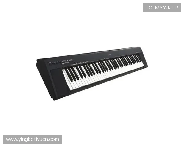 尊龙人生就是博：通过游戏体验领悟人生的风险与机遇