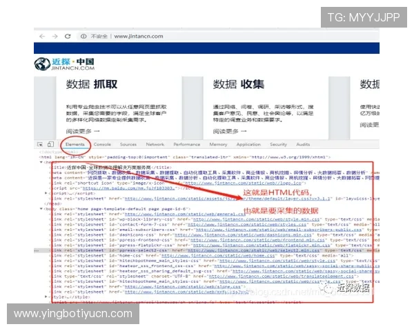 中欧买球网分析为用户提供专业的赛事数据解读与实用的投注技巧指导